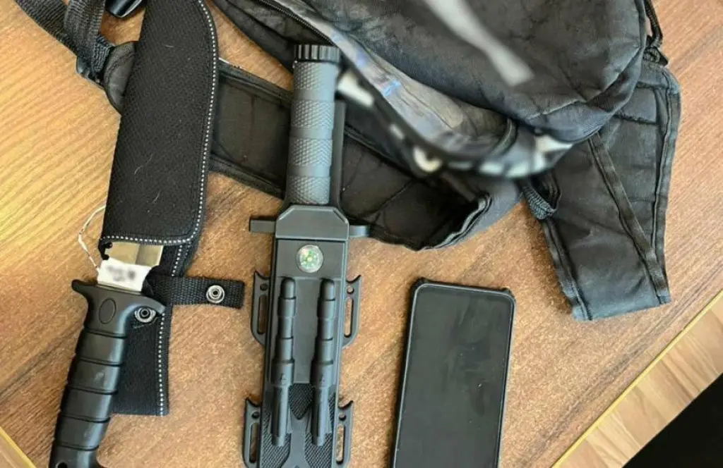 Нацполіція зірвала план кривавої атаки школяра, який вів трансляцію з ножем