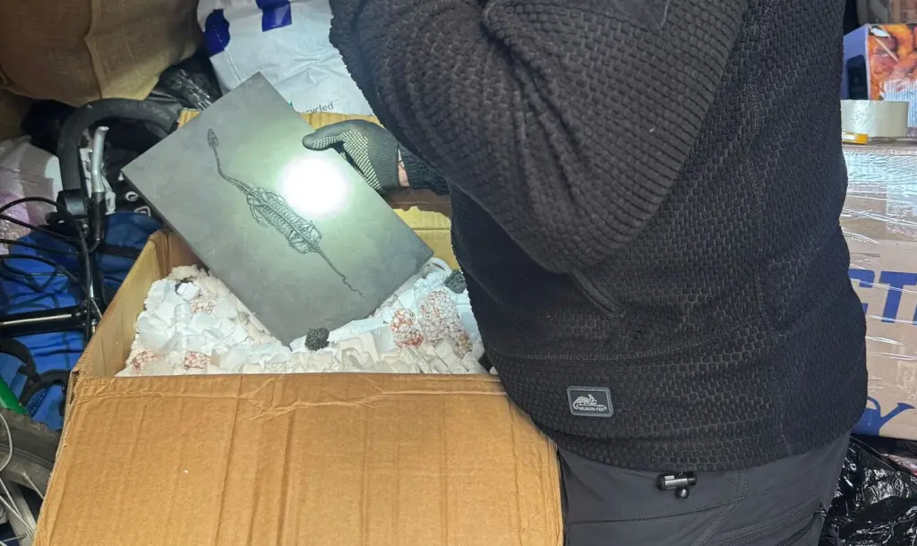 На кордоні з Польщею у жителя Тернопільщини знайшли скам’янілу рептилію віком 200 мільйонів років