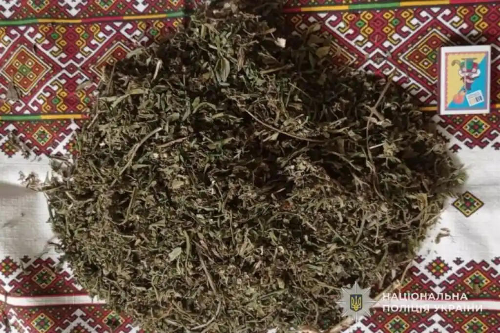 На Тернопільщині викрили 25-річного чоловіка з марихуаною: зберігав і збував