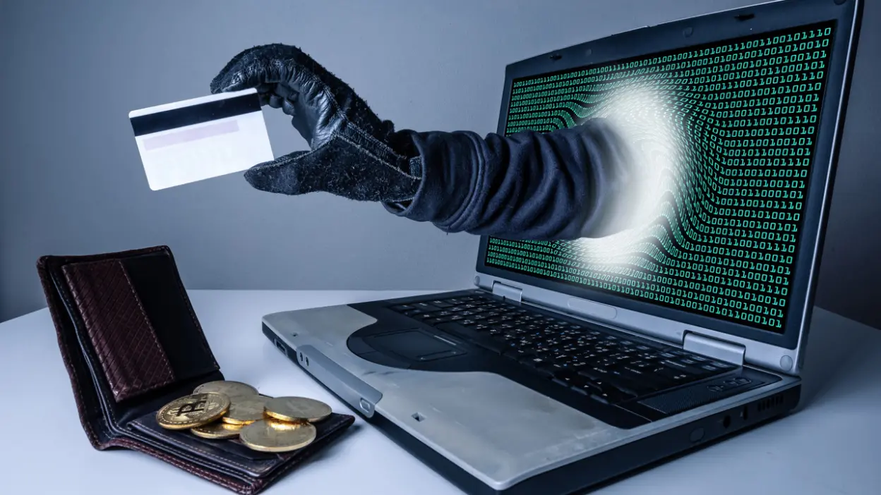 Шахрайська схема на Тернопільщині: жінка втратила понад 70 тисяч гривень через фіктивне посилання