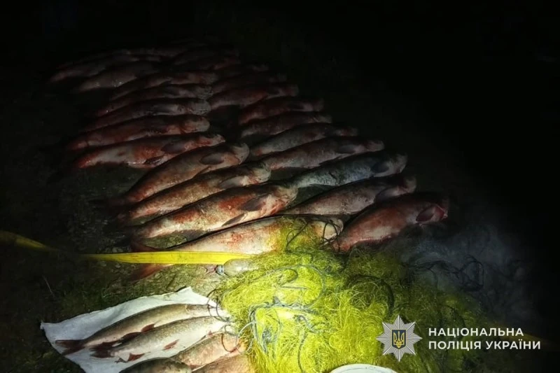 На Тернопільщині викрили чоловіка, який незаконно виловив 250 кг риби сітками