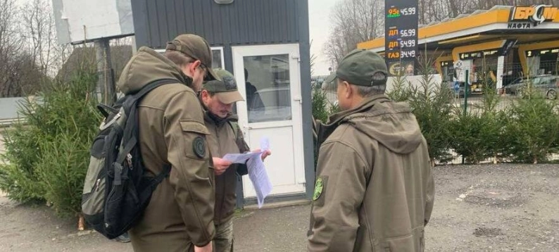 У Тернополі посилили контроль за продажем ялинок: рейди на ринках виявили перші порушення