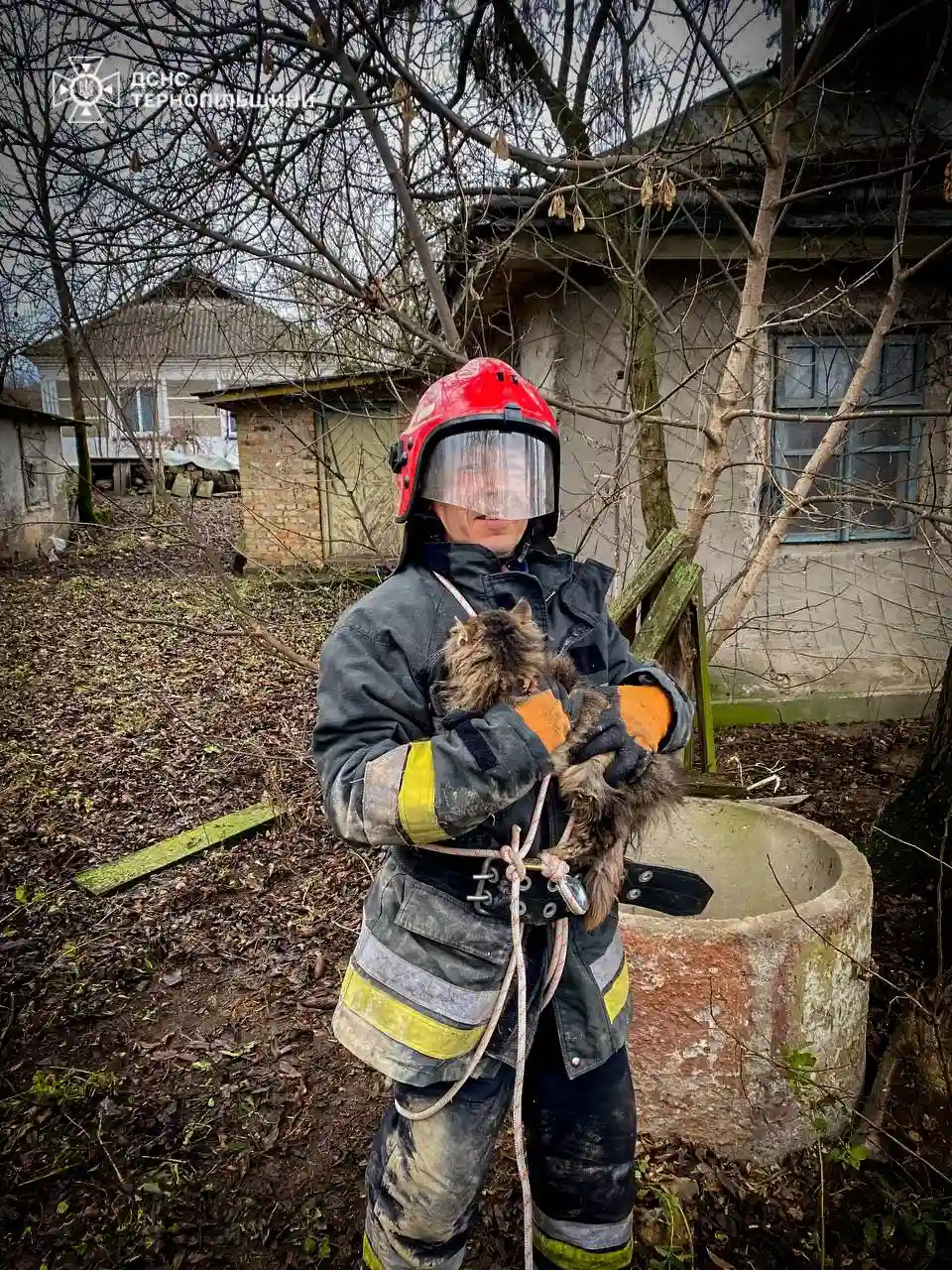 На Тернопільщині рятувальники підняли з колодязя кота, що опинився у пастці