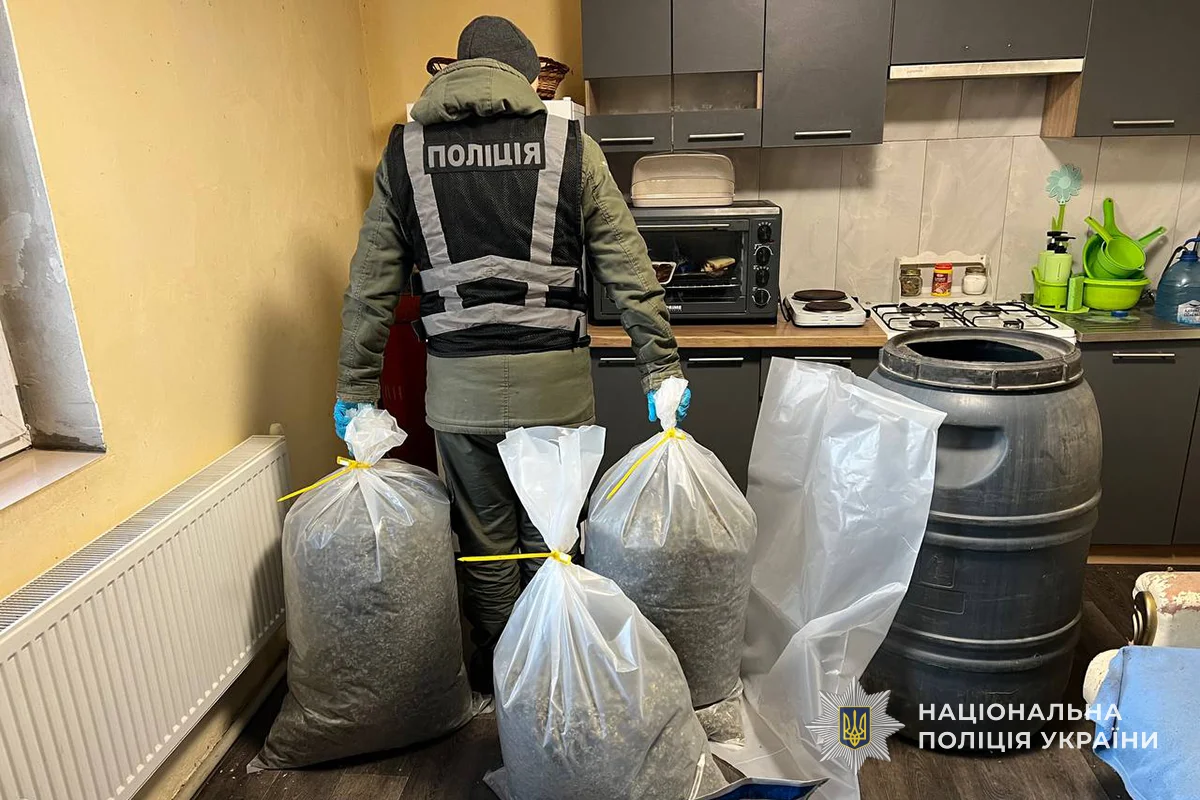 На Тернопільщині викрили масштабну нарколабораторію: вилучено канабісу на мільйони