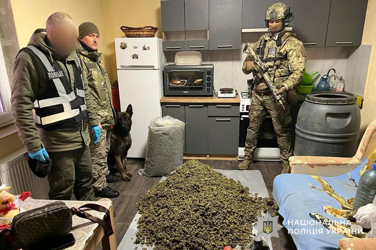 На Тернопільщині викрили масштабну нарколабораторію: вилучено канабісу на мільйони