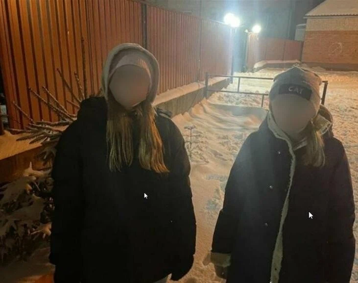 Оленятко серед ранкового руху: у Тернополі помітили дикого звіра на мосту
