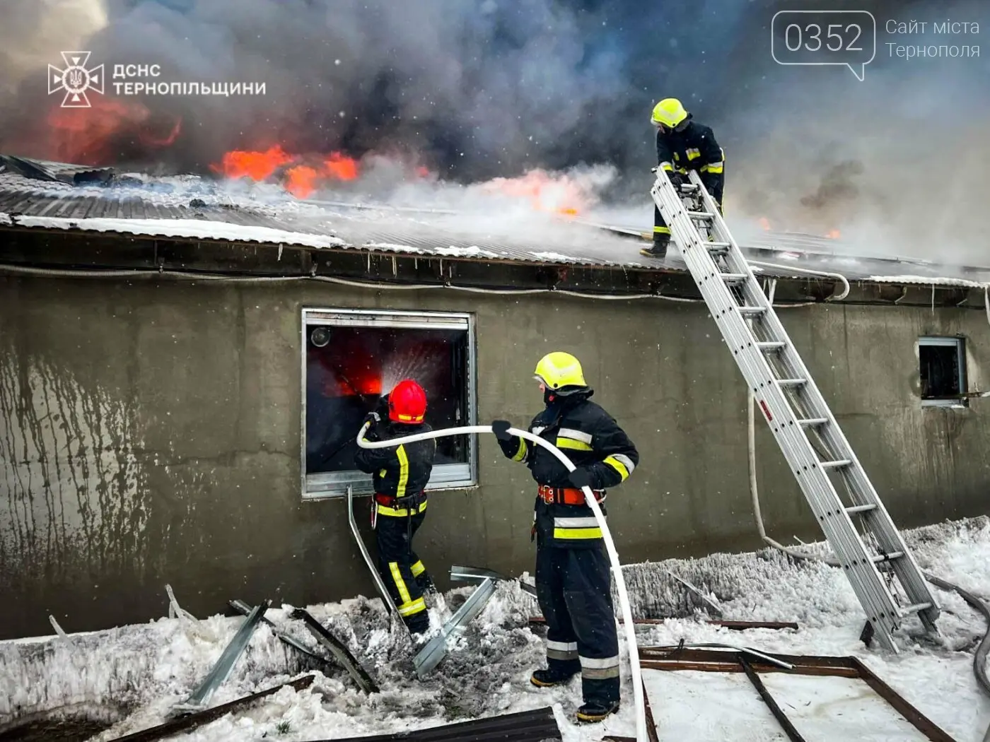 Вогонь на птахофермі: у Дзвинячі пожежу гасили кілька підрозділів