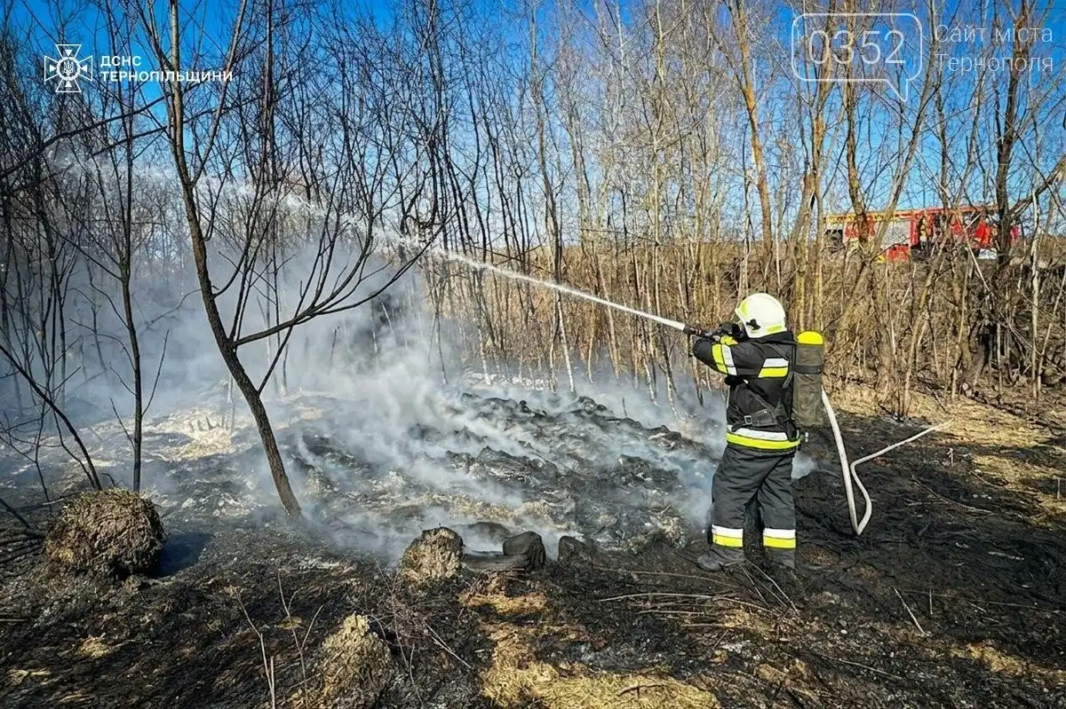 За день на Тернопільщині сталося понад десяток займань сухої трави – вигоріли гектари територій