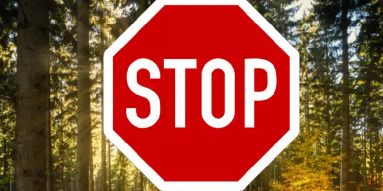 Лісові масиви під замком: на Тернопільщині ввели жорсткі обмеження для відвідувачів